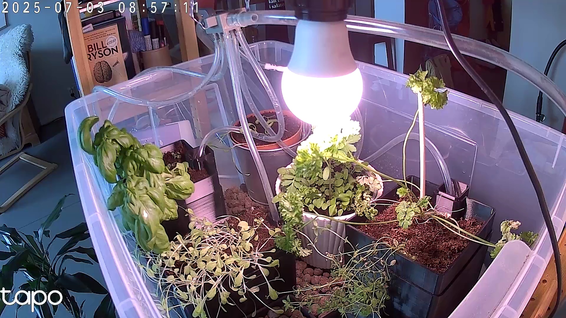 Timelapse image