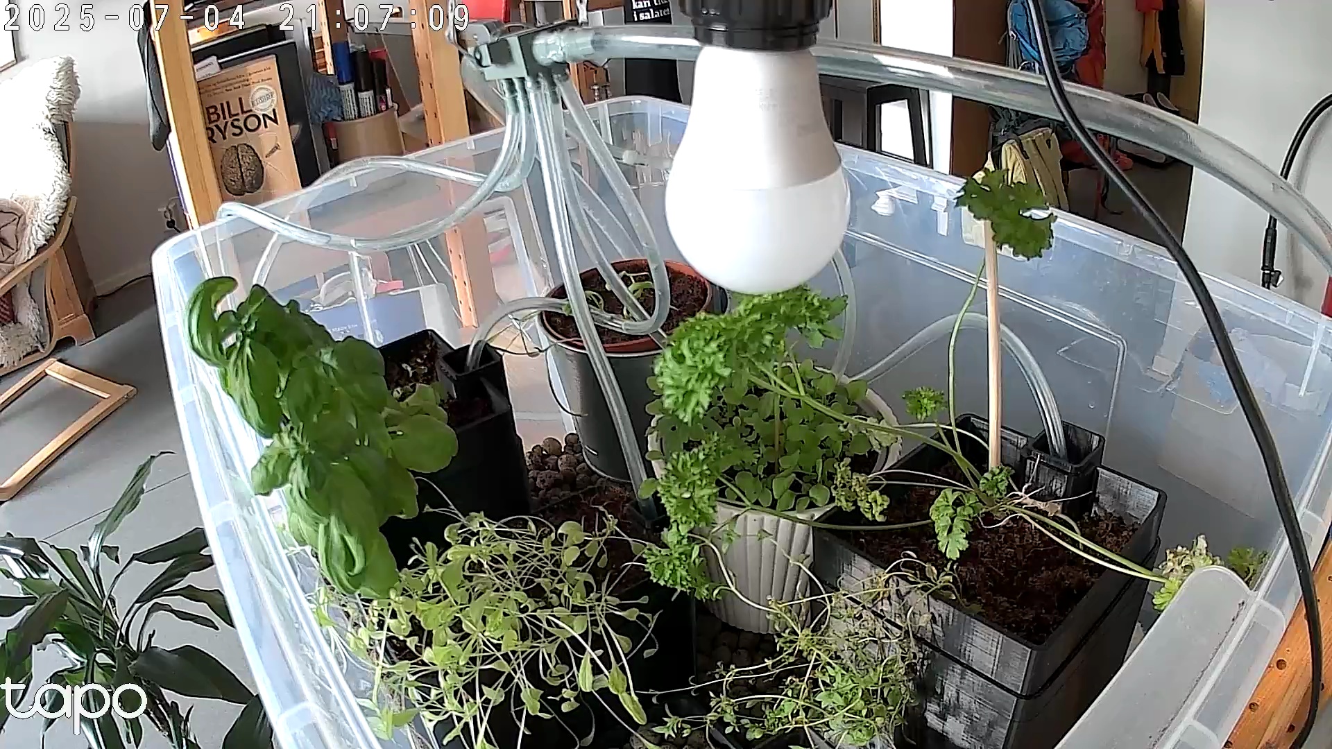 Timelapse image