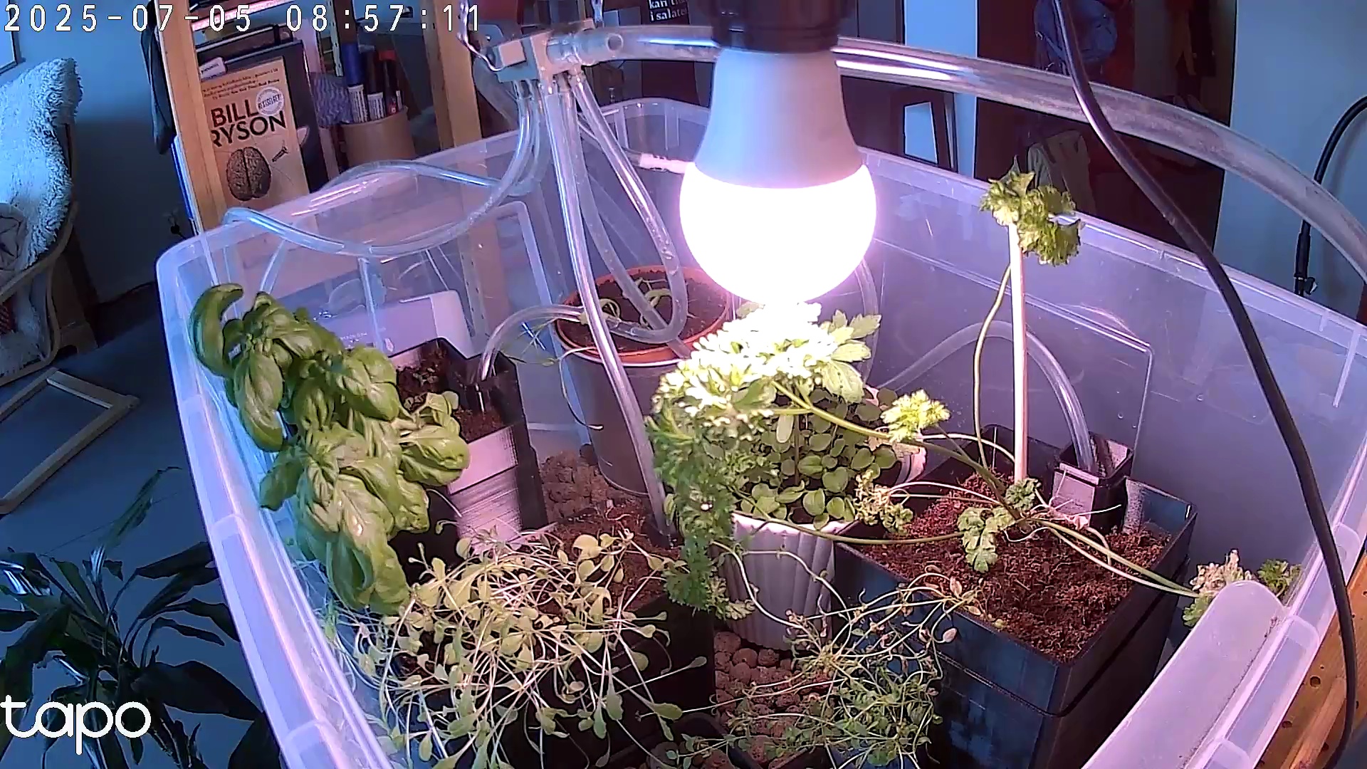 Timelapse image