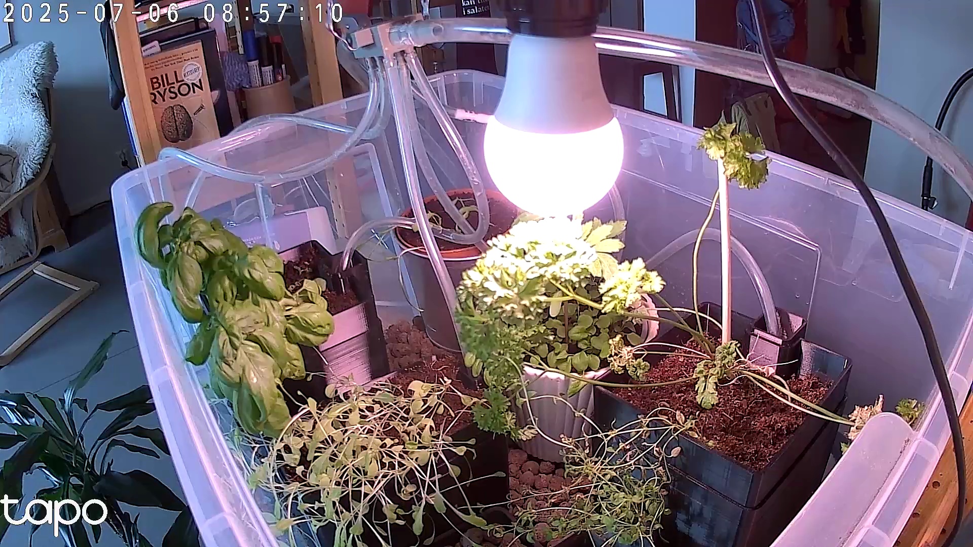 Timelapse image