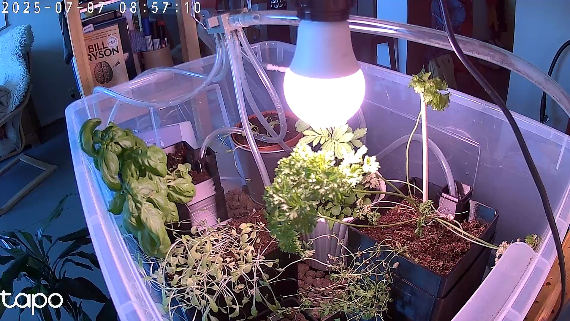 Timelapse image