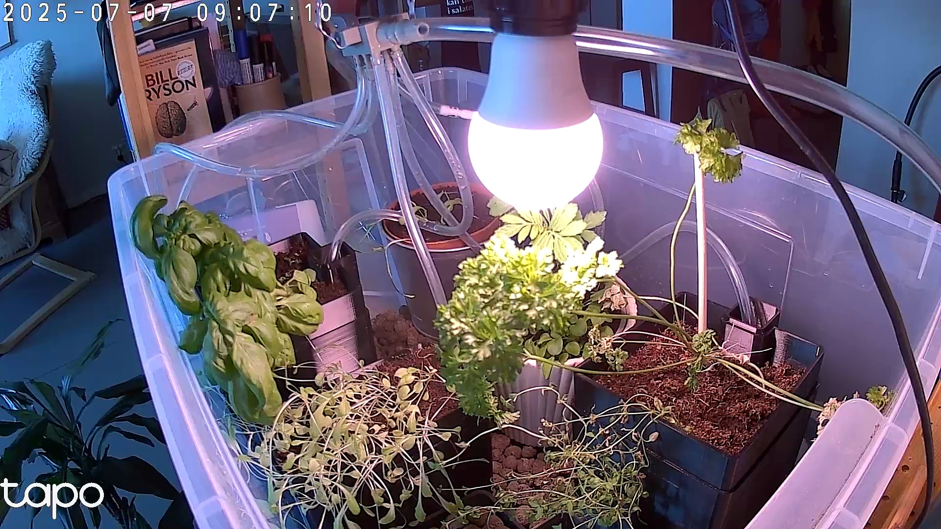 Timelapse image