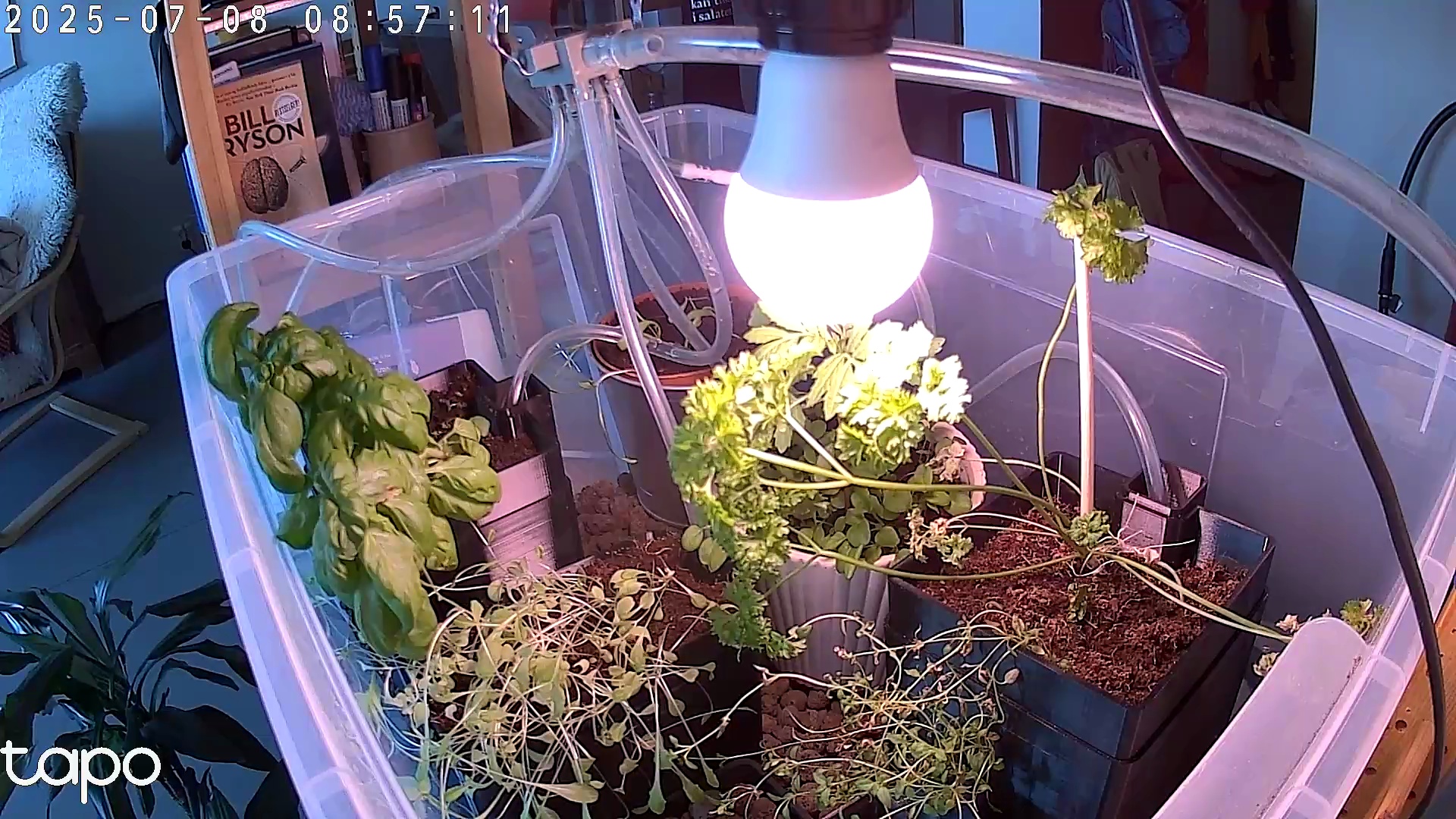 Timelapse image