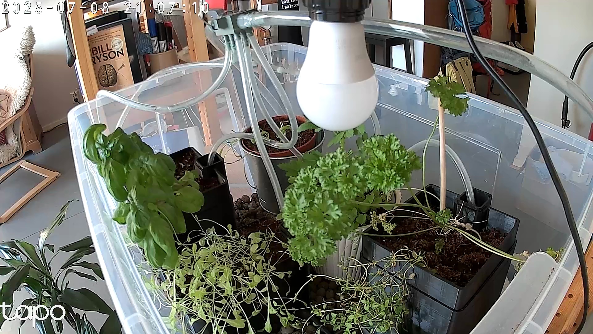 Timelapse image