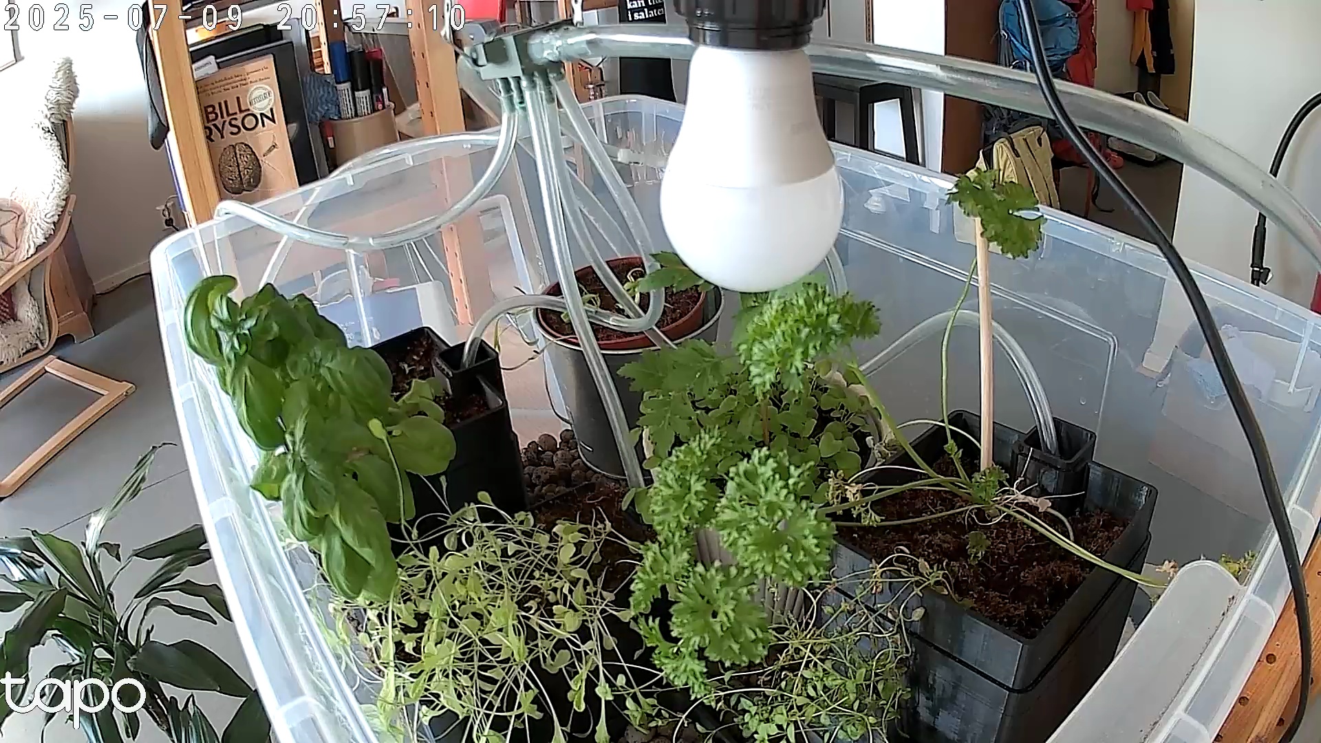 Timelapse image