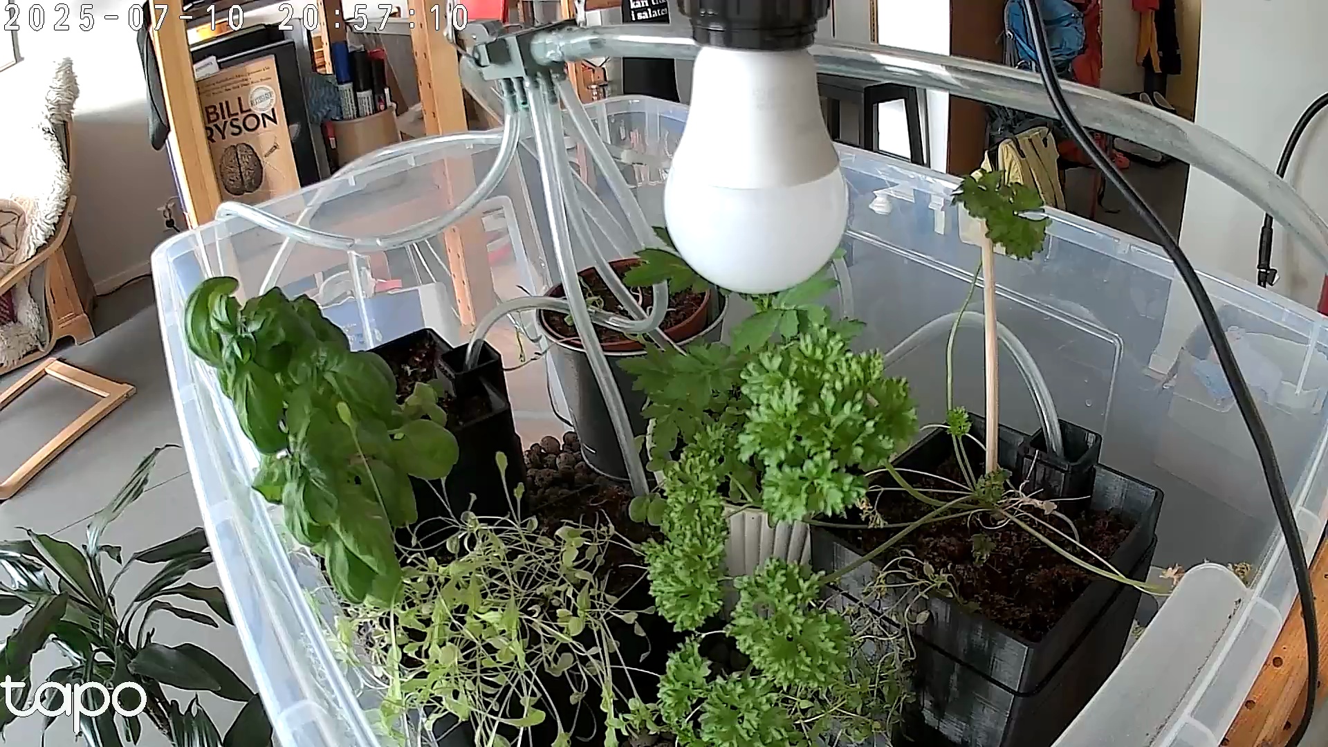 Timelapse image