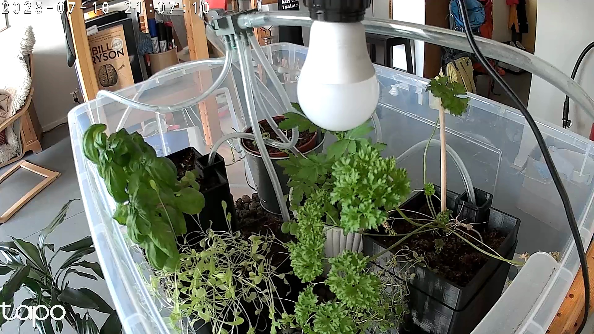 Timelapse image