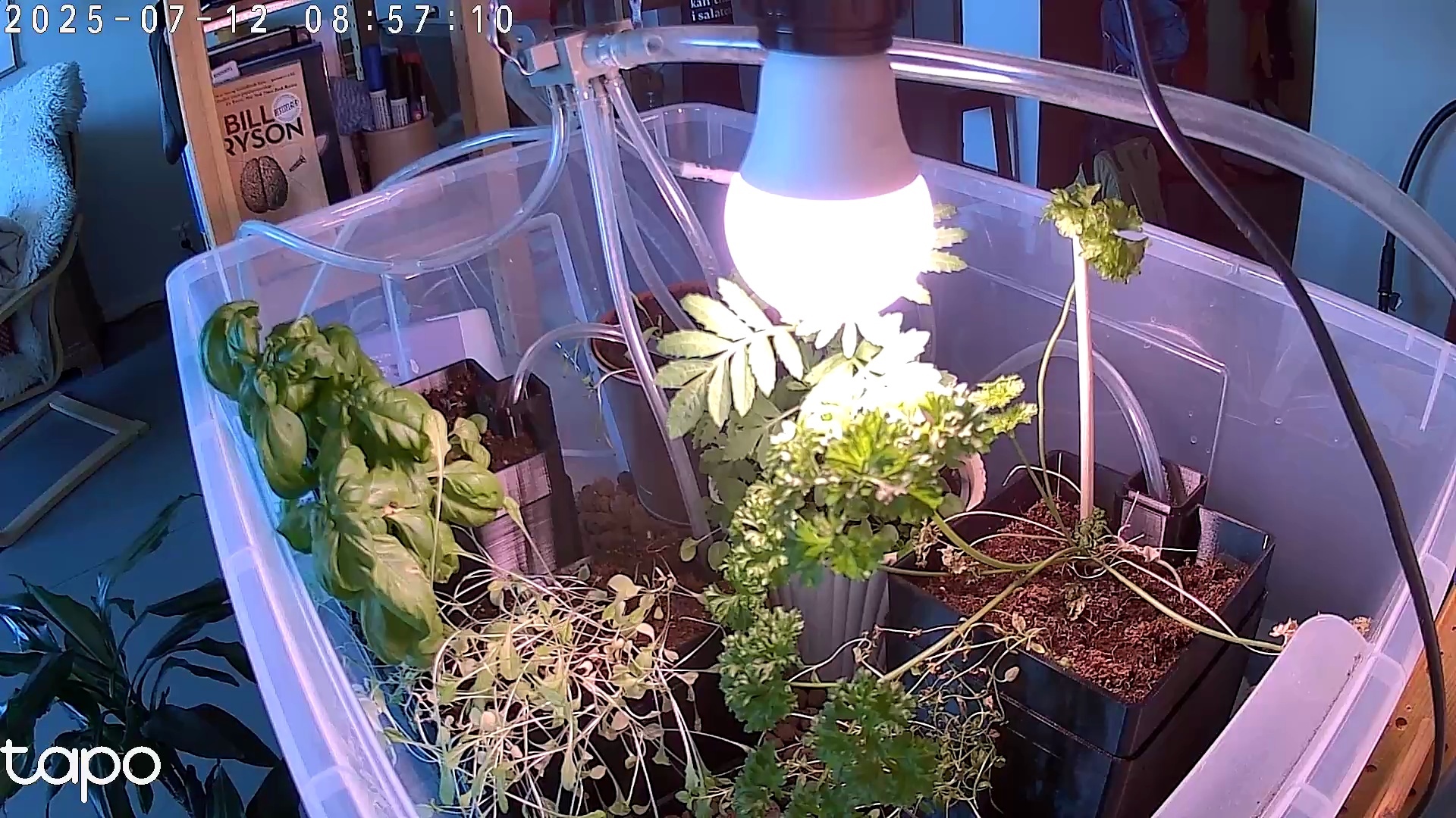 Timelapse image