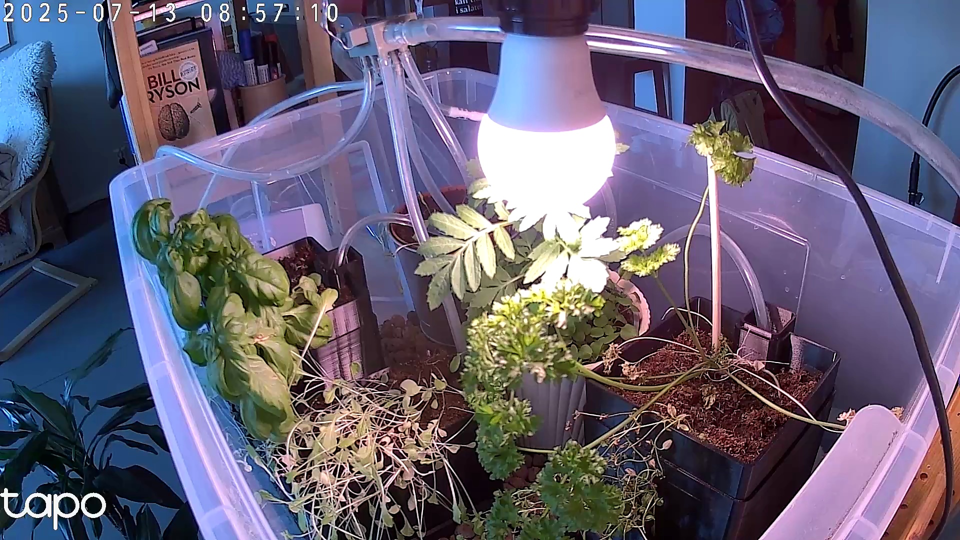 Timelapse image
