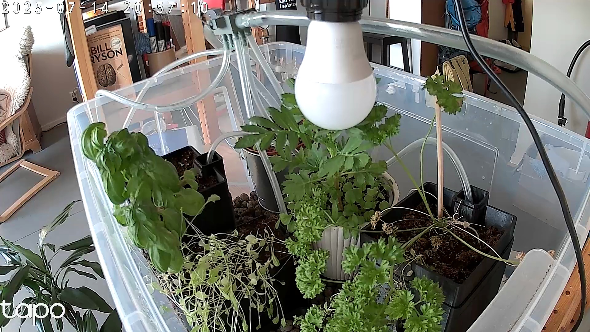 Timelapse image