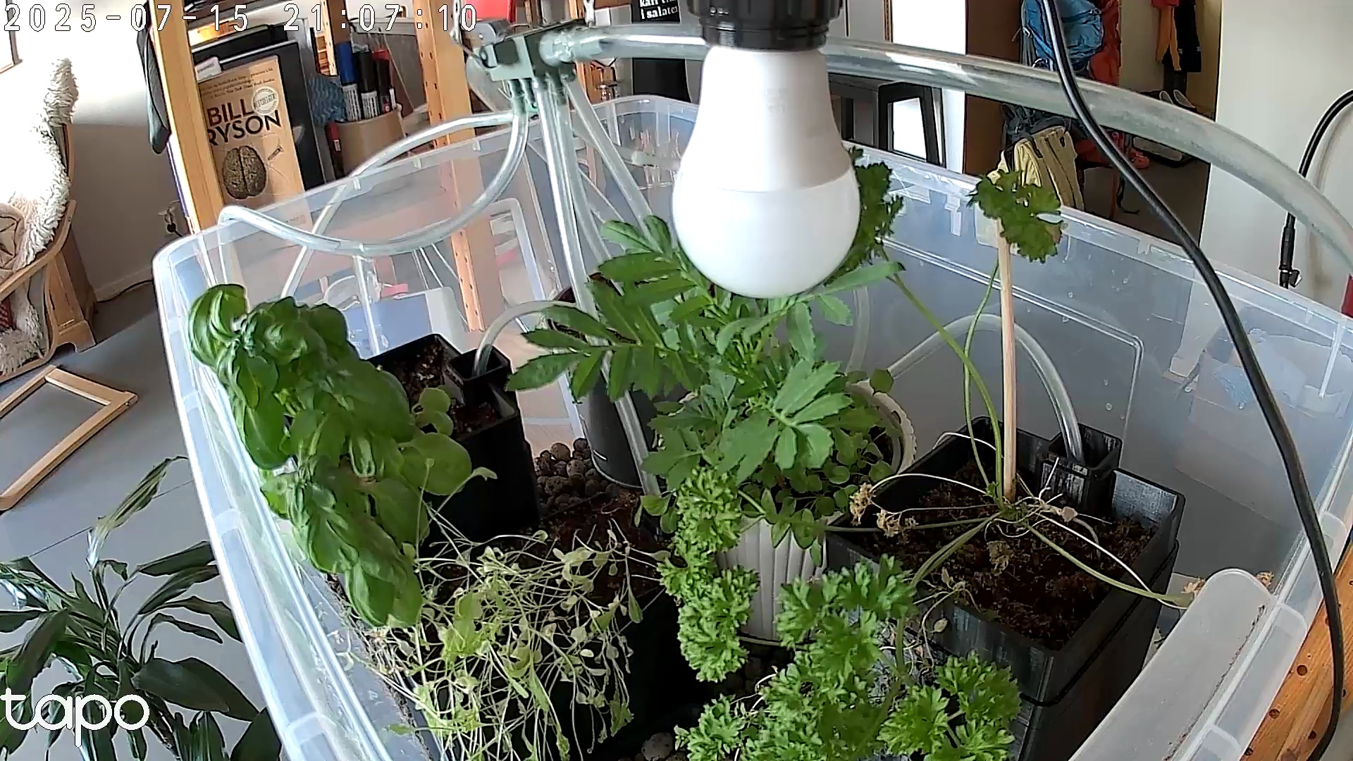 Timelapse image