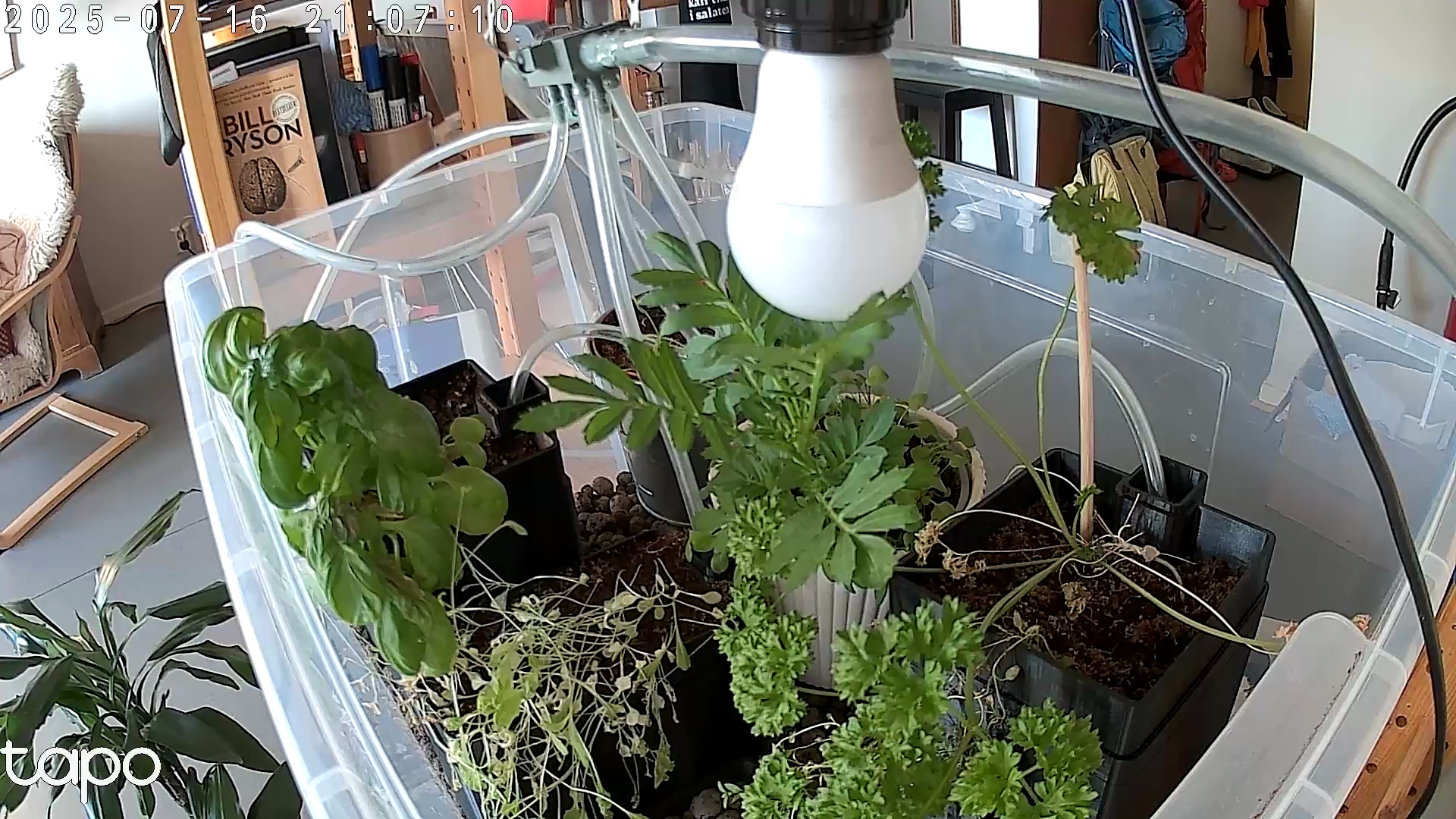Timelapse image